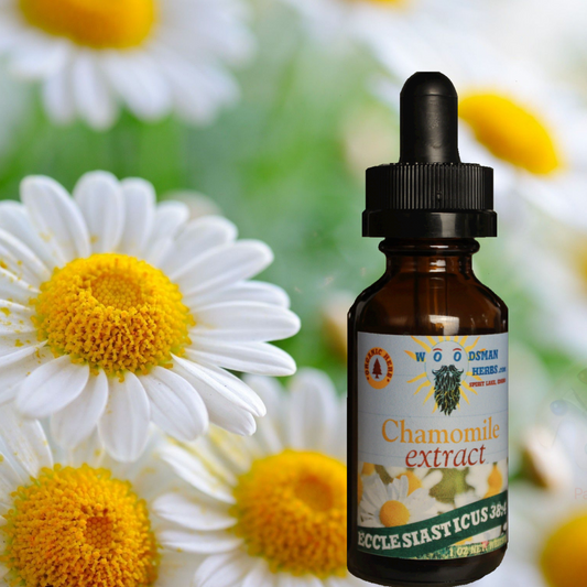 Chamomile Extract (Wildcrafted)